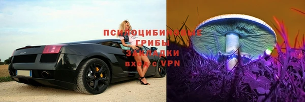 apvp Богданович